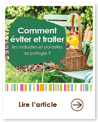 2024 02 VIGNETTES ARTICLES  SAVEZ VOUS PLANTER2