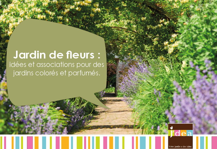 Jardin de fleurs : idées et associations pour des jardins colorés et parfumés