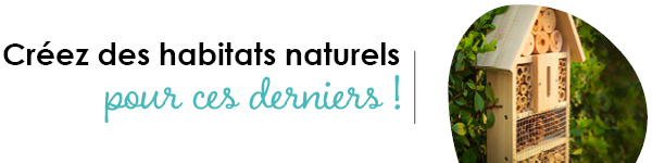 VISUELS RONGEURS3