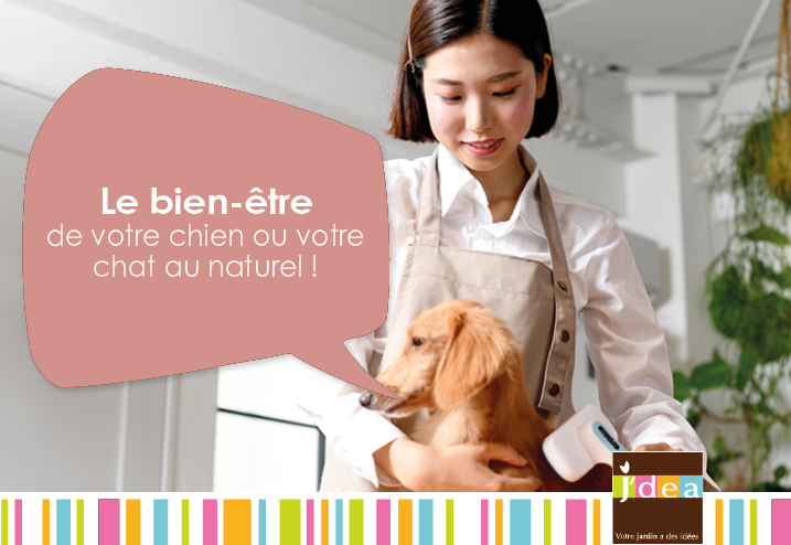 Le bien-être de votre chien ou votre chat au naturel !