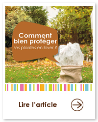 2023 09 VIGNETTES ARTICLES  JARDIN