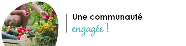 VISUELS RONGEURS3