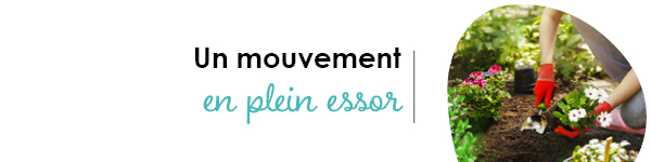 VISUELS RONGEURS3