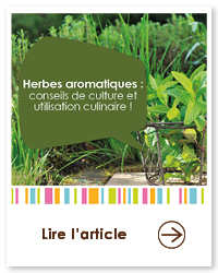2023 09 VIGNETTES ARTICLES JARDIN