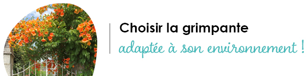 VISUELS RONGEURS3