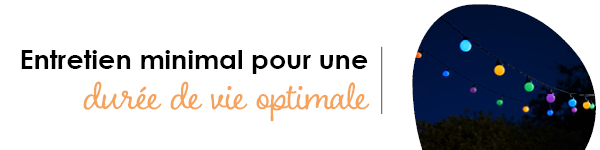 VISUELS RONGEURS3