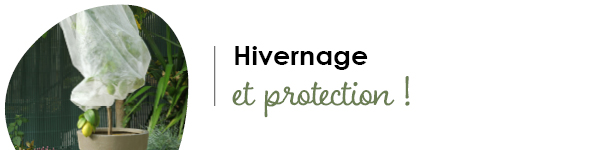 VISUELS RONGEURS3