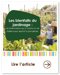 2023 09 VIGNETTES ARTICLES JARDIN