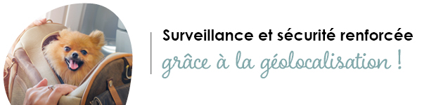 VISUELS RONGEURS2