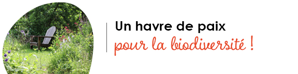VISUELS RONGEURS2