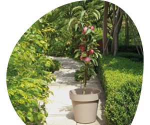 2026 02 VISUELS ARTICLE 12