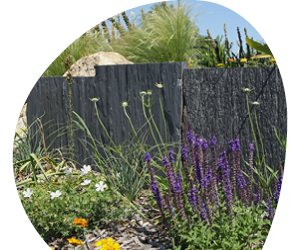 2026 02 VISUELS ARTICLE 2 4