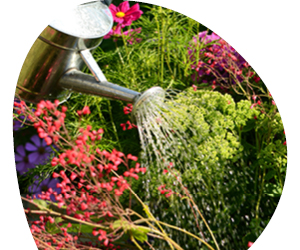 2026 02 VISUELS ARTICLE 2 5