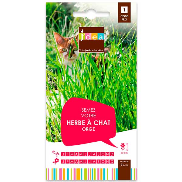 Herbe A Chat Aide A Eliminer Les Boules De Poils Jardinerie Jaia Balaruc