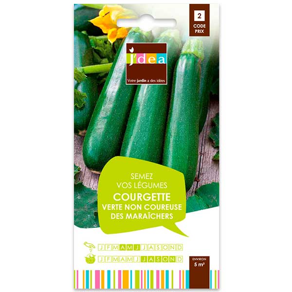 Courgette Verte Non Coureuse Des Maraichers Qualite Gustative Jardin Decor