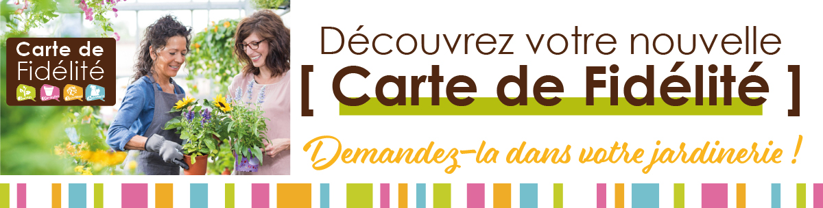 carte de fidélité